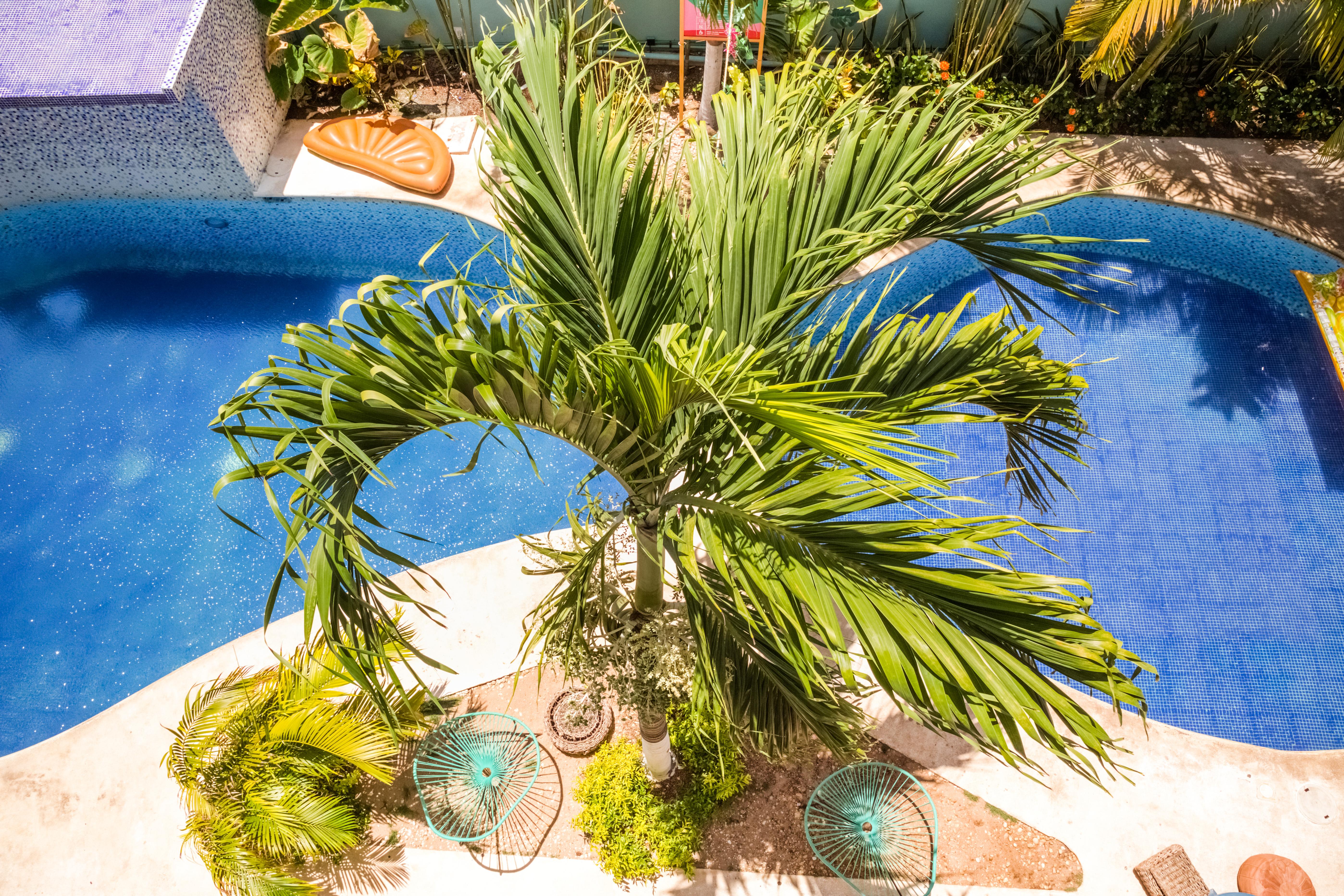 Selina Playa Del Carmen Hotel ภายนอก รูปภาพ